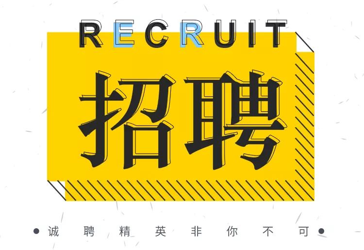 寧波江北司機(jī)招聘網(wǎng)最新職位，啟程探索自然美景的駕駛之旅
