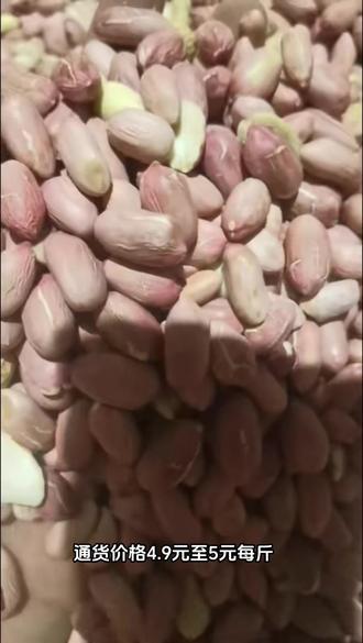 帶殼花生最新批發(fā)價(jià)格，變化中學(xué)習(xí)，成就自信與夢(mèng)想之路
